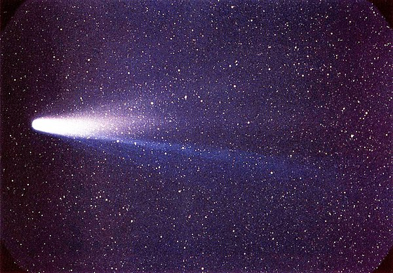 Halleyho kométa